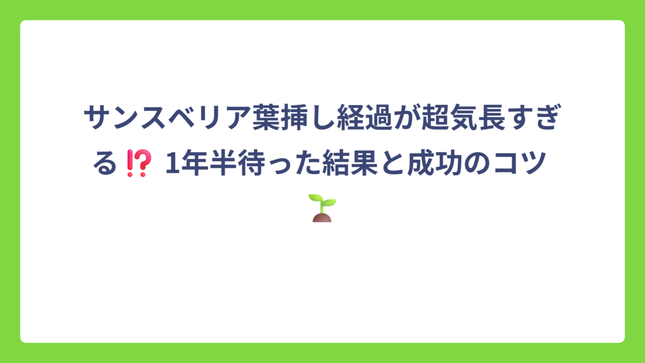 サンスベリア葉挿し経過が超気長すぎる⁉️ 1年半待った結果と成功のコツ 🌱