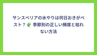 サンスベリアの水やりは何日おきがベスト？🌵 季節別の正しい頻度と枯れない方法