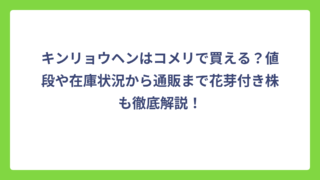 キンリョウヘンはコメリで買える？値段や在庫状況から通販まで花芽付き株も徹底解説！