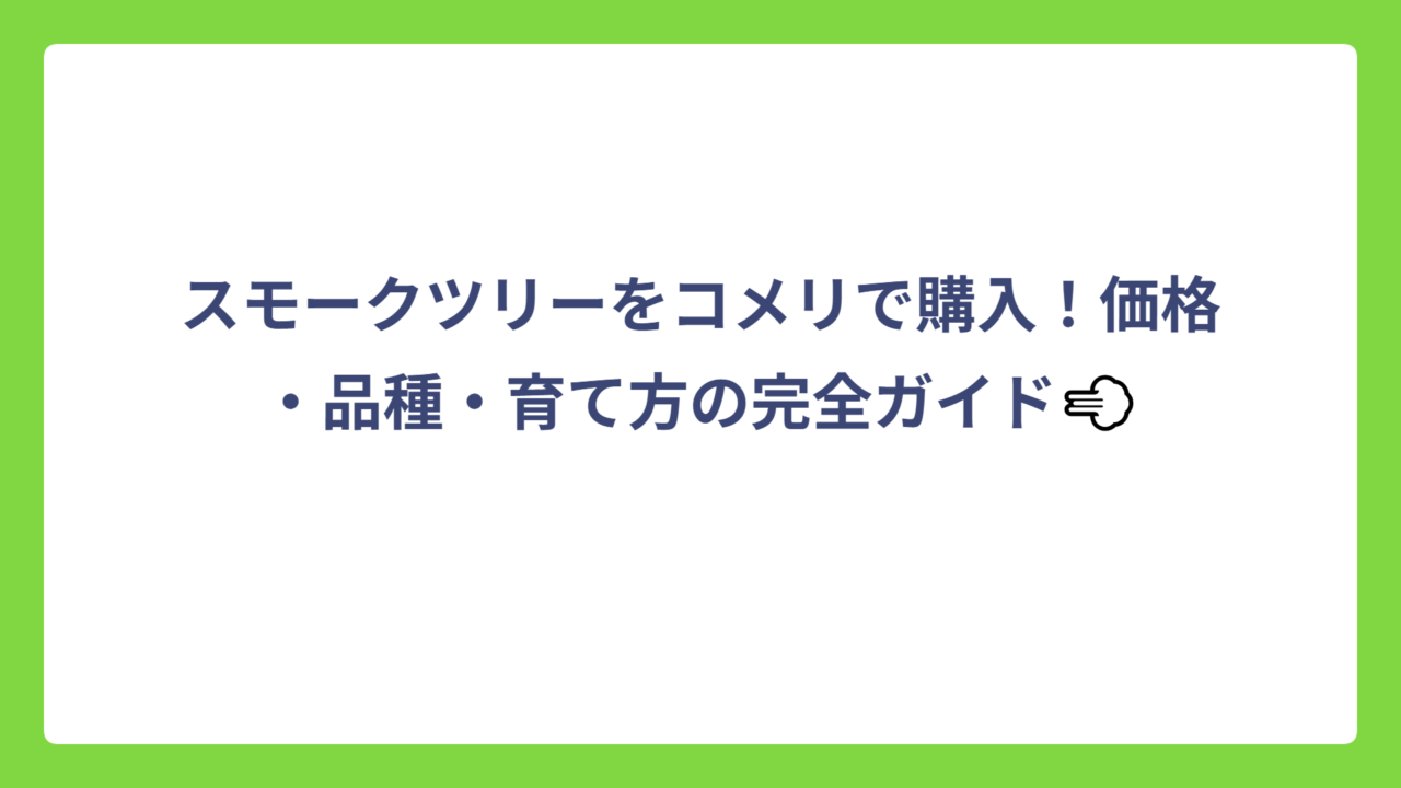 スモークツリーをコメリで購入！価格・品種・育て方の完全ガイド💨