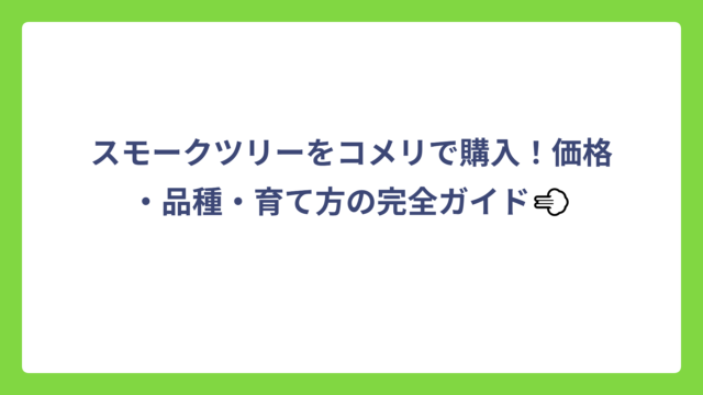 スモークツリーをコメリで購入！価格・品種・育て方の完全ガイド💨