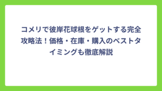 コメリで彼岸花球根をゲットする完全攻略法！価格・在庫・購入のベストタイミングも徹底解説