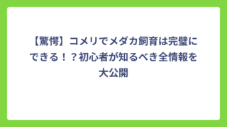 【驚愕】コメリでメダカ飼育は完璧にできる！？初心者が知るべき全情報を大公開
