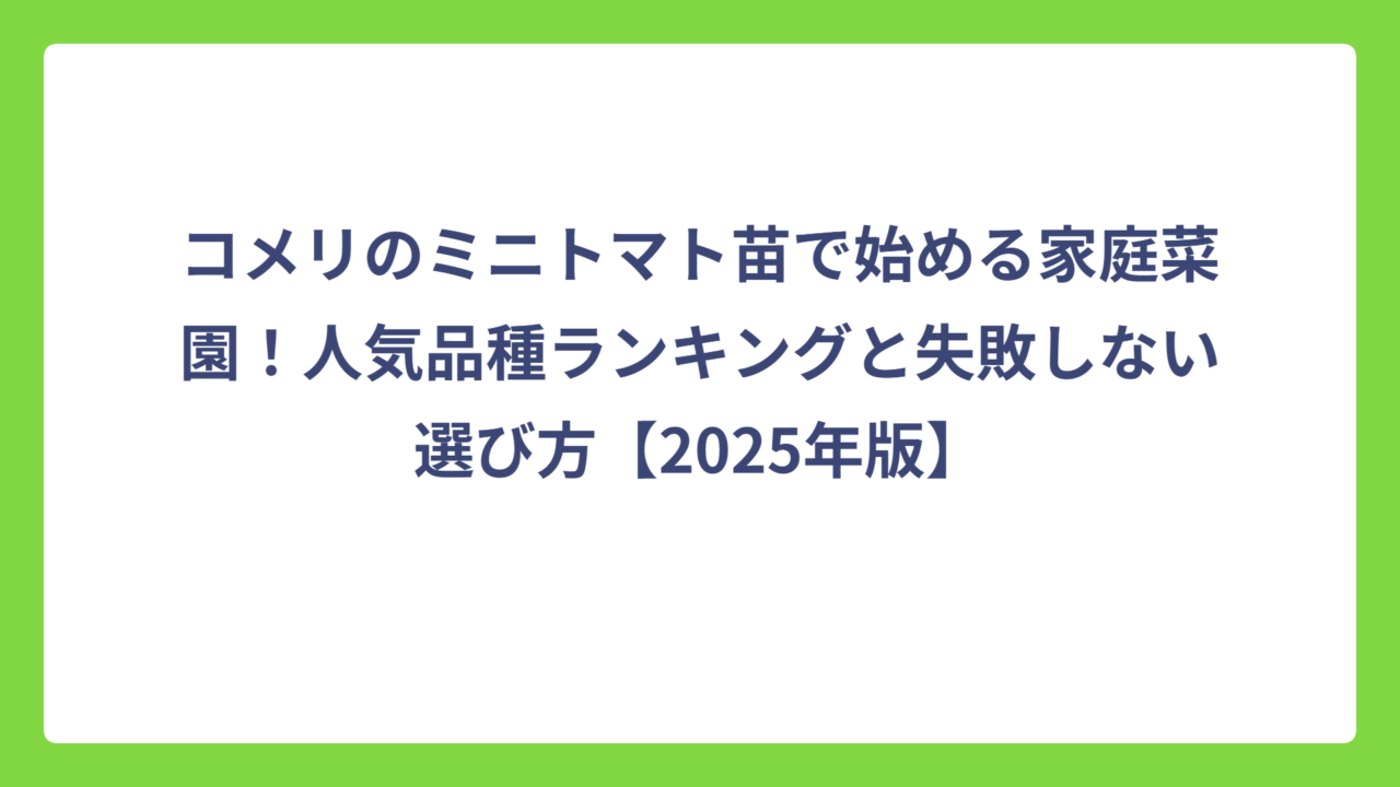 コメリのミニトマト苗で始める家庭菜園！人気品種ランキングと失敗しない選び方【2025年版】
