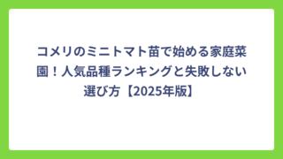 コメリのミニトマト苗で始める家庭菜園！人気品種ランキングと失敗しない選び方【2025年版】