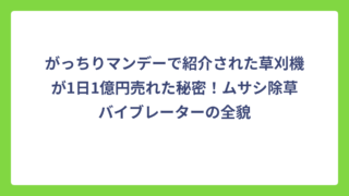 がっちりマンデーで紹介された草刈機が1日1億円売れた秘密！ムサシ除草バイブレーターの全貌