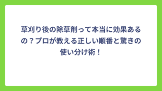 草刈り後の除草剤って本当に効果あるの？プロが教える正しい順番と驚きの使い分け術！