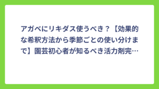 アガベにリキダス使うべき？【効果的な希釈方法から季節ごとの使い分けまで】園芸初心者が知るべき活力剤完全ガイド