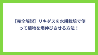 【完全解説】リキダスを水耕栽培で使って植物を爆伸びさせる方法！