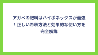 アガベの肥料はハイポネックスが最強！正しい希釈方法と効果的な使い方を完全解説