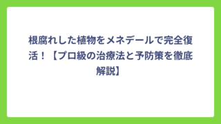 根腐れした植物をメネデールで完全復活！【プロ級の治療法と予防策を徹底解説】