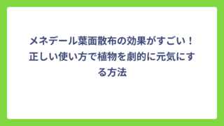 メネデール葉面散布の効果がすごい！正しい使い方で植物を劇的に元気にする方法