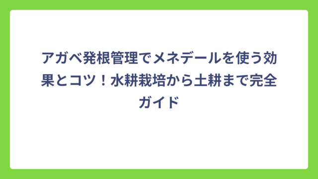 アガベ発根管理でメネデールを使う効果とコツ！水耕栽培から土耕まで完全ガイド