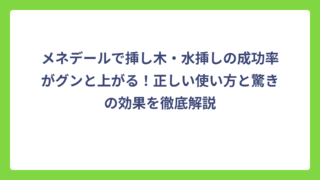 メネデールで挿し木・水挿しの成功率がグンと上がる！正しい使い方と驚きの効果を徹底解説