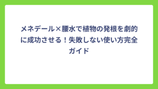 メネデール×腰水で植物の発根を劇的に成功させる！失敗しない使い方完全ガイド