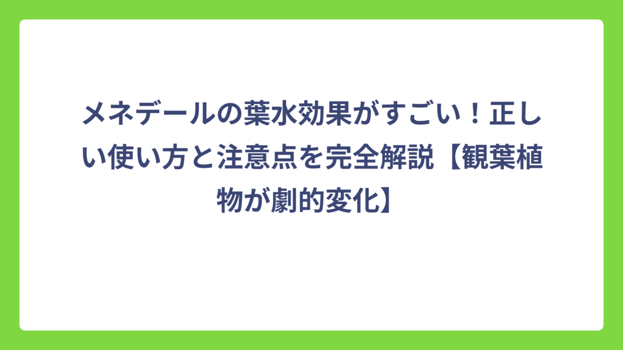 メネデールの葉水効果がすごい！正しい使い方と注意点を完全解説【観葉植物が劇的変化】