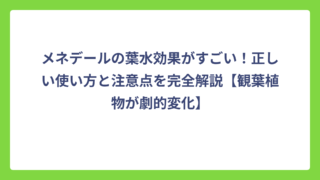 メネデールの葉水効果がすごい！正しい使い方と注意点を完全解説【観葉植物が劇的変化】