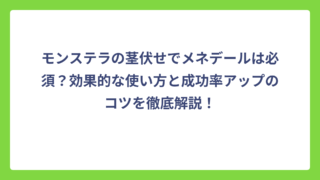 モンステラの茎伏せでメネデールは必須？効果的な使い方と成功率アップのコツを徹底解説！