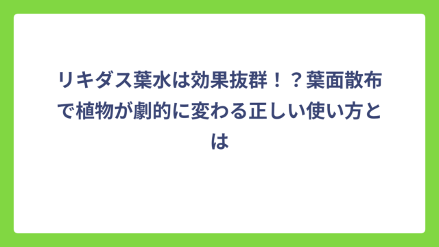 リキダス葉水は効果抜群！？葉面散布で植物が劇的に変わる正しい使い方とは
