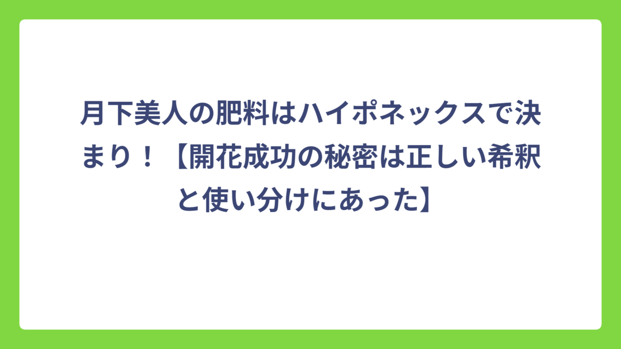 月下美人の肥料はハイポネックスで決まり！【開花成功の秘密は正しい希釈と使い分けにあった】