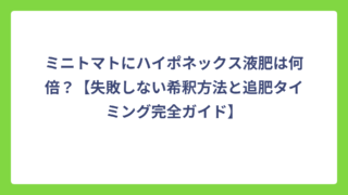 ミニトマトにハイポネックス液肥は何倍？【失敗しない希釈方法と追肥タイミング完全ガイド】