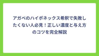 アガベのハイポネックス希釈で失敗したくない人必見！正しい濃度と与え方のコツを完全解説