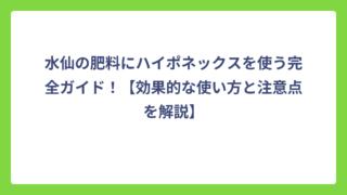 水仙の肥料にハイポネックスを使う完全ガイド！【効果的な使い方と注意点を解説】