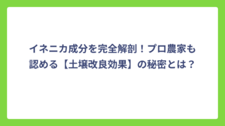 イネニカ成分を完全解剖！プロ農家も認める【土壌改良効果】の秘密とは？