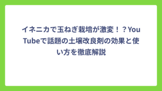 イネニカで玉ねぎ栽培が激変！？YouTubeで話題の土壌改良剤の効果と使い方を徹底解説