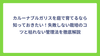 カルーナブルガリスを庭で育てるなら知っておきたい！失敗しない栽培のコツと枯れない管理法を徹底解説