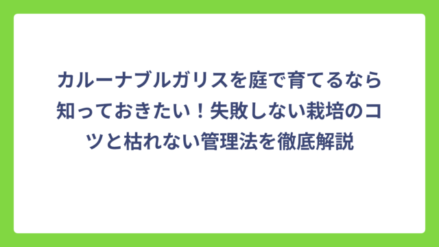 カルーナブルガリスを庭で育てるなら知っておきたい！失敗しない栽培のコツと枯れない管理法を徹底解説
