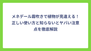 メネデール霧吹きで植物が見違える！正しい使い方と知らないとヤバい注意点を徹底解説