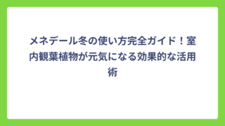 メネデール冬の使い方完全ガイド！室内観葉植物が元気になる効果的な活用術
