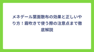 メネデール葉面散布の効果と正しいやり方！霧吹きで使う際の注意点まで徹底解説