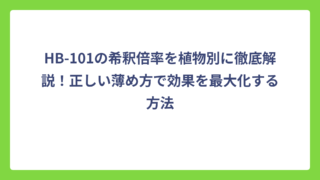 HB-101の希釈倍率を植物別に徹底解説！正しい薄め方で効果を最大化する方法