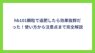 hb101顆粒で追肥したら効果抜群だった！使い方から注意点まで完全解説
