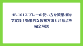 HB-101スプレーの使い方を観葉植物で実践！効果的な散布方法と注意点を完全解説