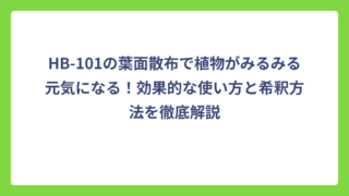 HB-101の葉面散布で植物がみるみる元気になる！効果的な使い方と希釈方法を徹底解説