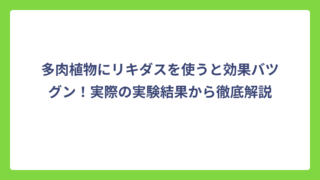 多肉植物にリキダスを使うと効果バツグン！実際の実験結果から徹底解説