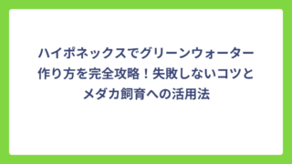 ハイポネックスでグリーンウォーター作り方を完全攻略！失敗しないコツとメダカ飼育への活用法
