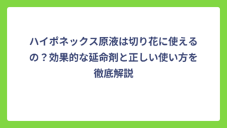 ハイポネックス原液は切り花に使えるの？効果的な延命剤と正しい使い方を徹底解説