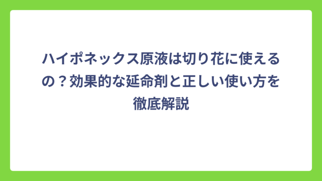 ハイポネックス原液は切り花に使えるの？効果的な延命剤と正しい使い方を徹底解説