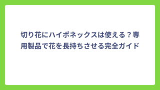 切り花にハイポネックスは使える？専用製品で花を長持ちさせる完全ガイド