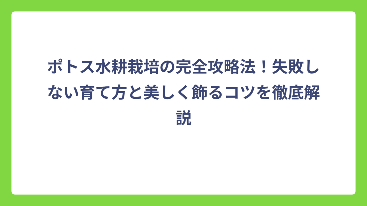 ポトス水耕栽培の完全攻略法！失敗しない育て方と美しく飾るコツを徹底解説