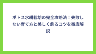 ポトス水耕栽培の完全攻略法！失敗しない育て方と美しく飾るコツを徹底解説