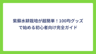 紫蘇水耕栽培が超簡単！100均グッズで始める初心者向け完全ガイド