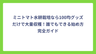 ミニトマト水耕栽培なら100均グッズだけで大量収穫！誰でもできる始め方完全ガイド