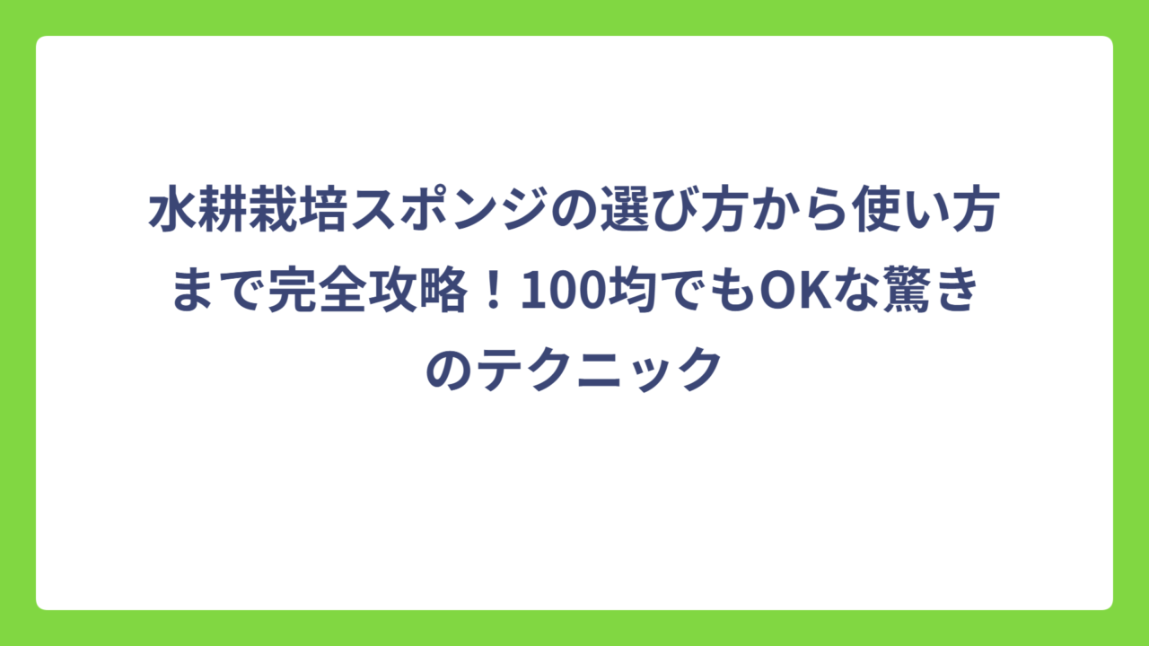 水耕栽培スポンジの選び方から使い方まで完全攻略！100均でもOKな驚きのテクニック