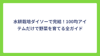 水耕栽培ダイソーで完結！100均アイテムだけで野菜を育てる全ガイド
