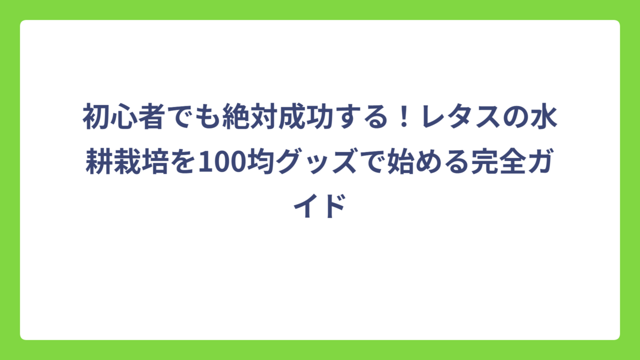 初心者でも絶対成功する！レタスの水耕栽培を100均グッズで始める完全ガイド